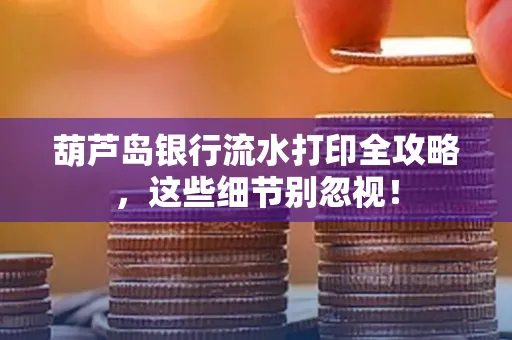 葫芦岛银行流水打印全攻略,这些细节别忽视!