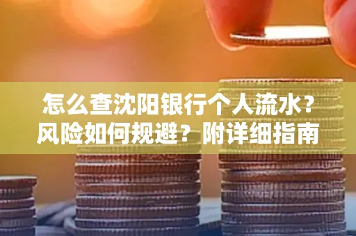 怎么查沈阳银行个人流水？风险如何规避？附详细指南