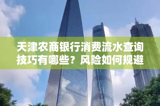 天津农商银行消费流水查询技巧有哪些？风险如何规避？