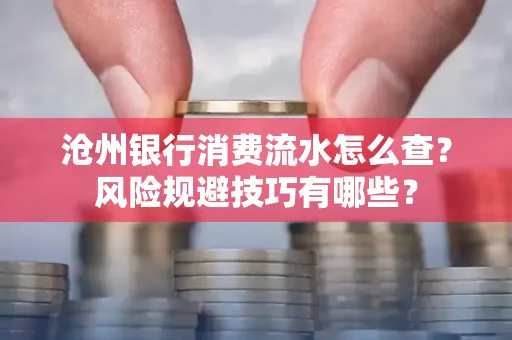 沧州银行消费流水怎么查？风险规避技巧有哪些？