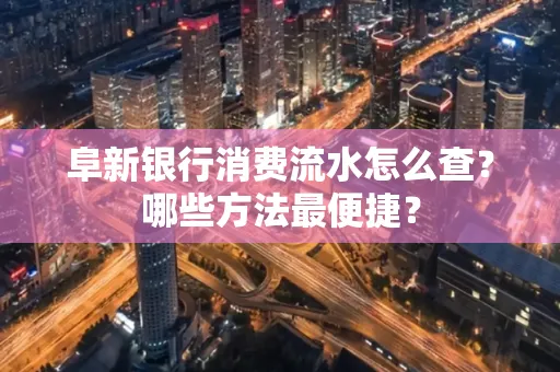 阜新银行消费流水怎么查？哪些方法最便捷？