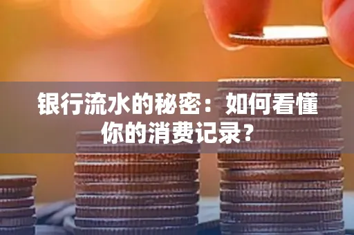 银行流水的秘密:如何看懂你的消费记录?