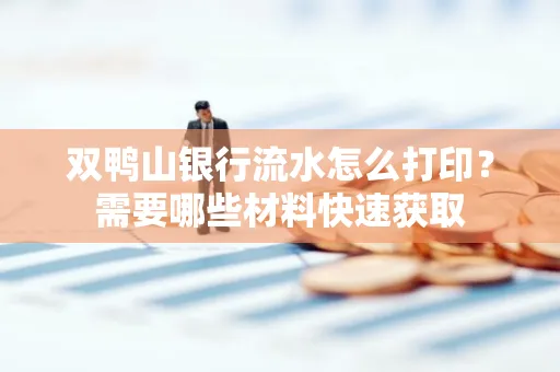 双鸭山银行流水怎么打印?需要哪些材料快速获取