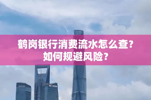 鹤岗银行消费流水怎么查?如何规避风险?