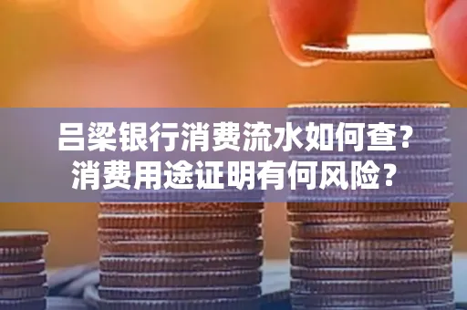 吕梁银行消费流水如何查?消费用途证明有何风险?