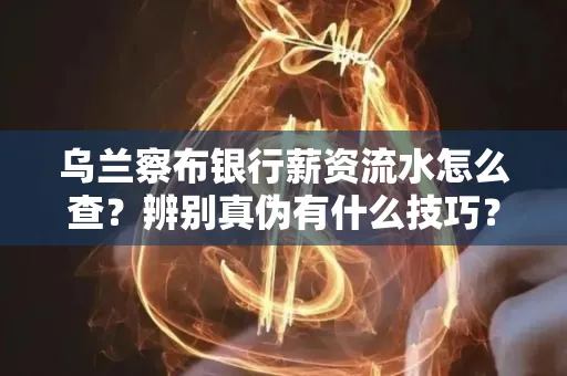 乌兰察布银行薪资流水怎么查?辨别真伪有什么技巧?