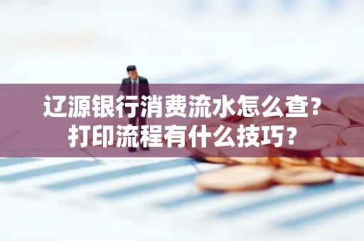 辽源银行消费流水怎么查？打印流程有什么技巧？