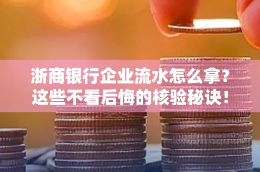 浙商银行企业流水怎么拿？这些不看后悔的核验秘诀！