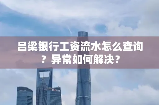 吕梁银行工资流水怎么查询?异常如何解决?