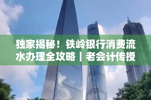 独家揭秘！铁岭银行消费流水办理全攻略｜老会计传授防诈技巧