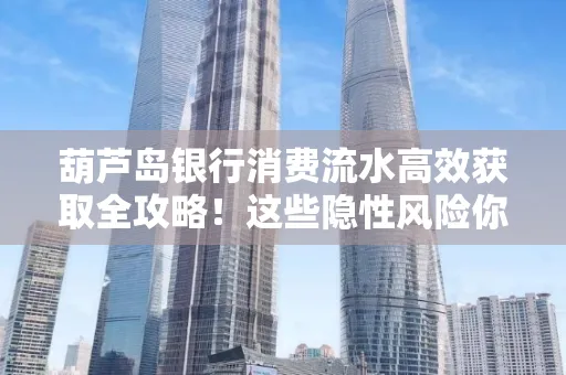 葫芦岛银行消费流水高效获取全攻略!这些隐性风险你必须知道