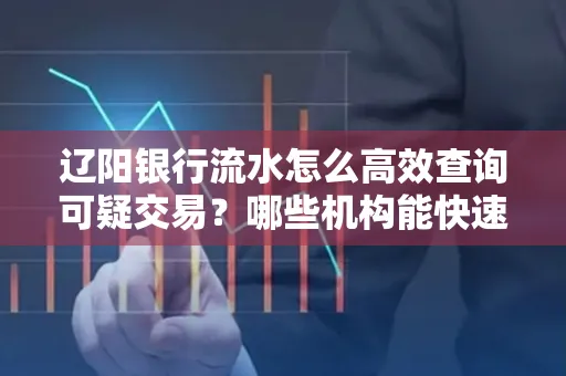 辽阳银行流水怎么高效查询可疑交易?哪些机构能快速分析账单风险?