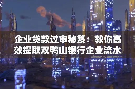 企业贷款过审秘笈:教你高效提取双鸭山银行企业流水