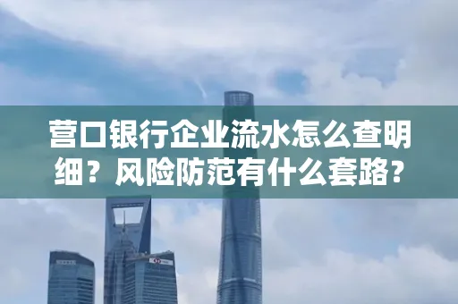 营口银行企业流水怎么查明细?风险防范有什么套路?