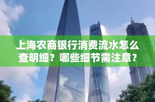 上海农商银行消费流水怎么查明细?哪些细节需注意?