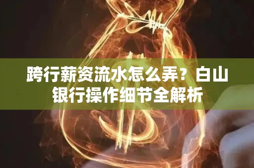 跨行薪资流水怎么弄?白山银行操作细节全解析