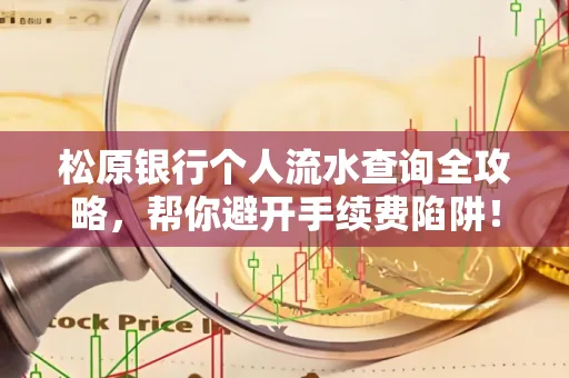 松原银行个人流水查询全攻略,帮你避开手续费陷阱!