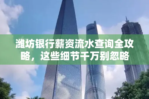 潍坊银行薪资流水查询全攻略，这些细节千万别忽略