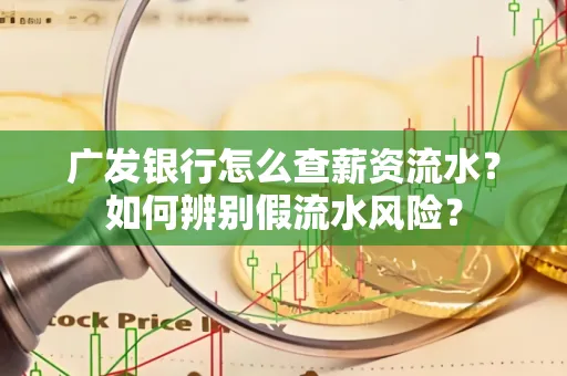 广发银行怎么查薪资流水?如何辨别假流水风险?