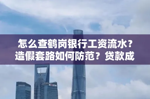 怎么查鹤岗银行工资流水?造假套路如何防范?贷款成功率翻倍攻略