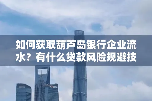 如何获取葫芦岛银行企业流水？有什么贷款风险规避技巧？