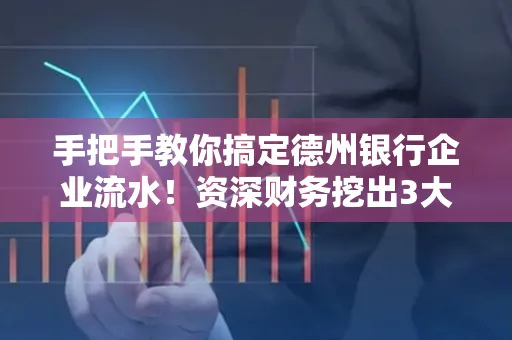 手把手教你搞定德州银行企业流水!资深财务挖出3大隐藏风险点