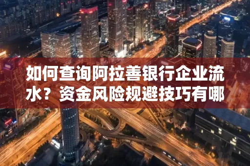 如何查询阿拉善银行企业流水?资金风险规避技巧有哪些?