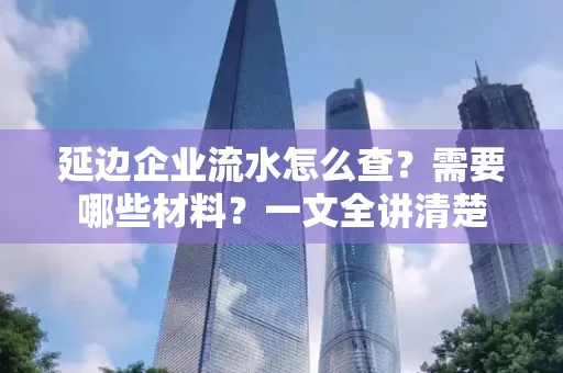 延边企业流水怎么查?需要哪些材料?一文全讲清楚