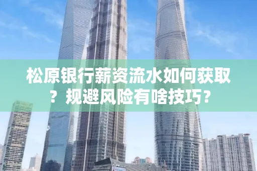 松原银行薪资流水如何获取?规避风险有啥技巧?