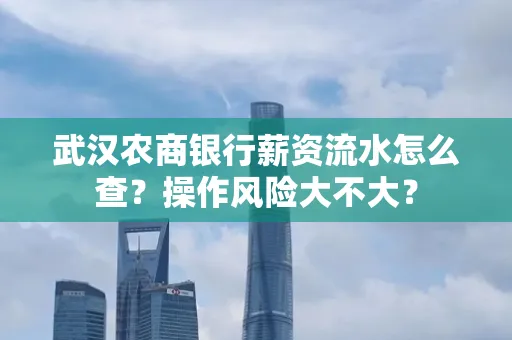 武汉农商银行薪资流水怎么查?操作风险大不大?