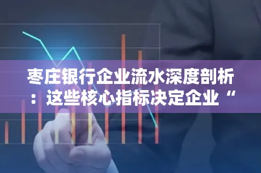 枣庄银行企业流水深度剖析:这些核心指标决定企业“钱袋子”健康度