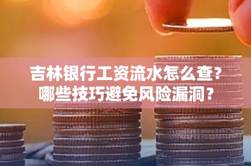 吉林银行工资流水怎么查？哪些技巧避免风险漏洞？