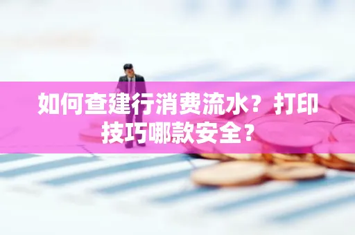 如何查建行消费流水？打印技巧哪款安全？